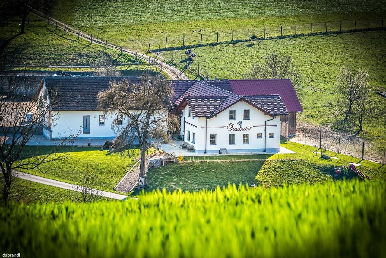Oberndorf an der Melk Straussenhof Halmer מראה חיצוני תמונה
